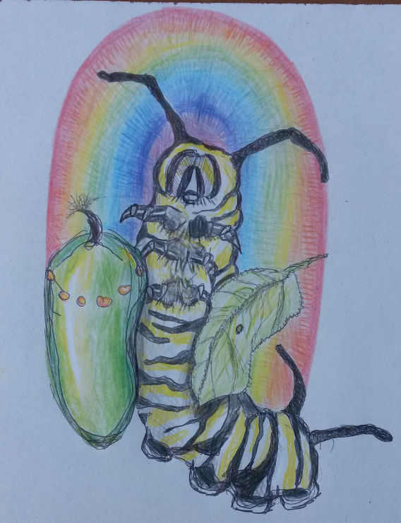 Another great Monarch drawing by Tiffany Wyatt.